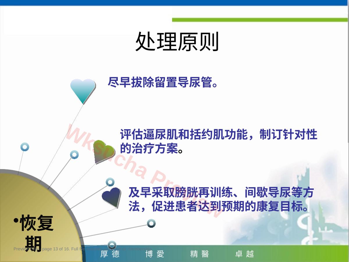 预览第 13 页