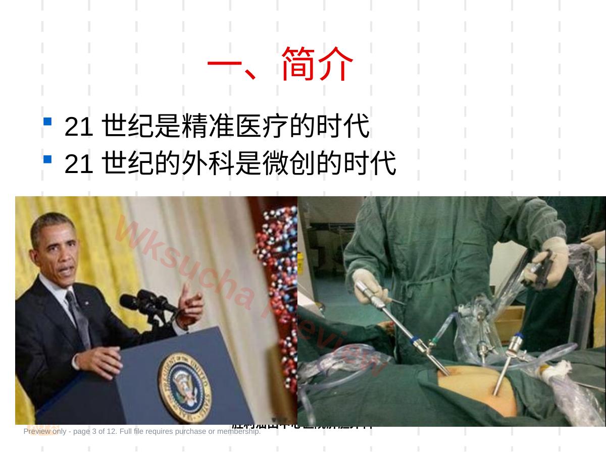预览第 3 页