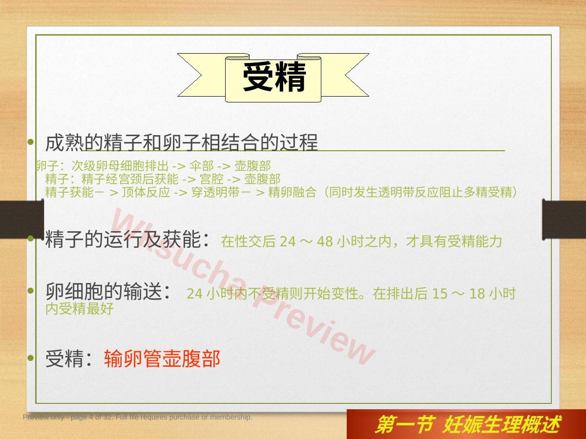 预览第 4 页