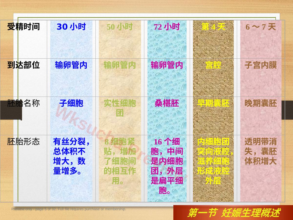 预览第 5 页
