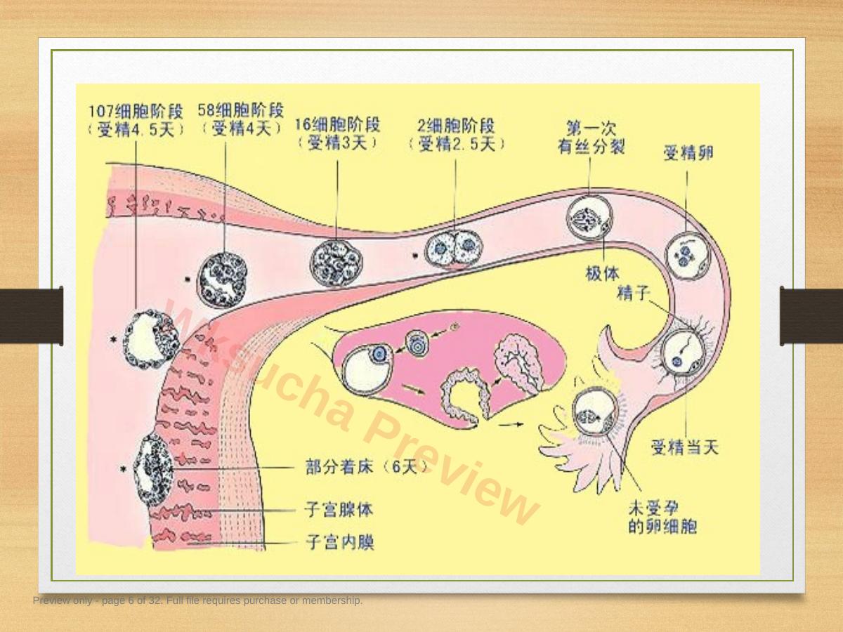 预览第 6 页