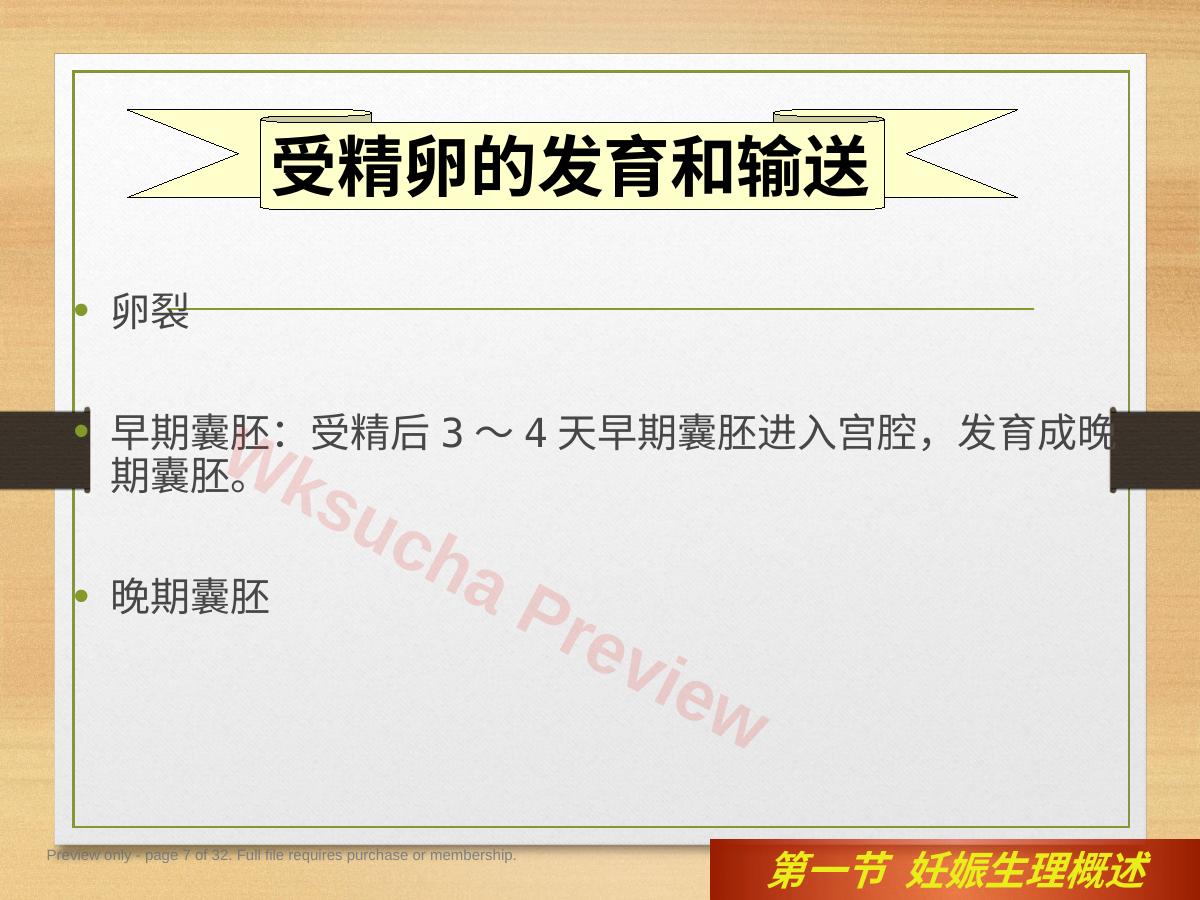 预览第 7 页