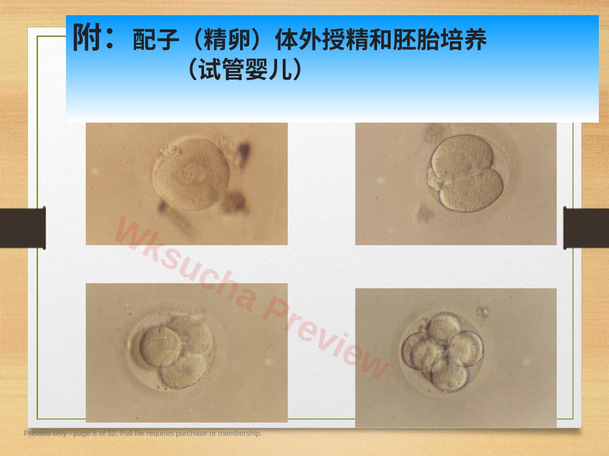 预览第 8 页