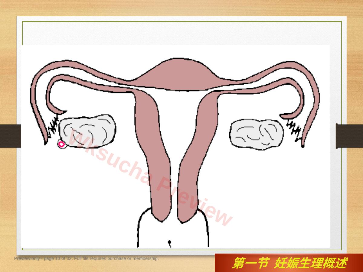 预览第 13 页