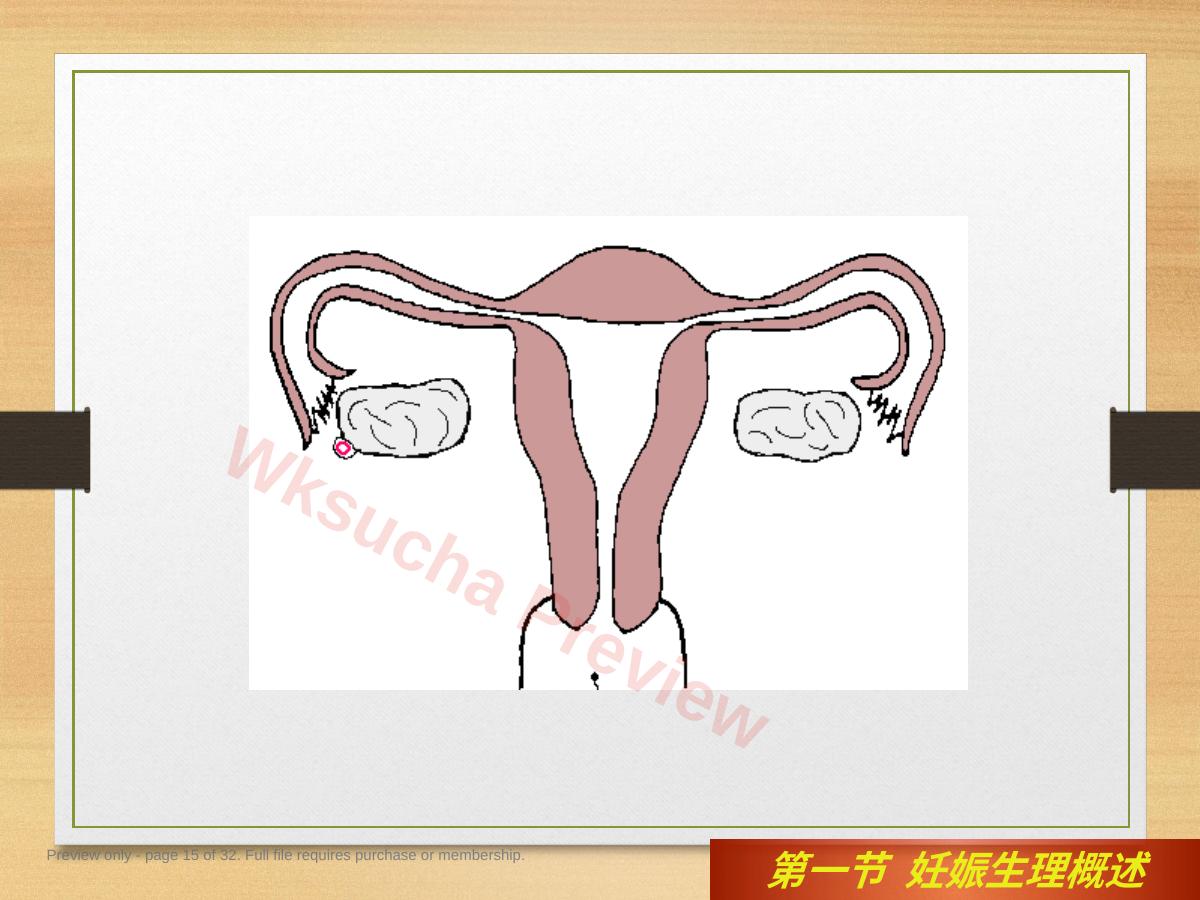 预览第 15 页