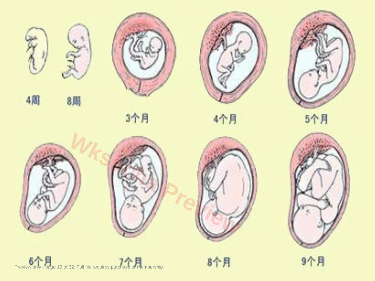 预览第 19 页