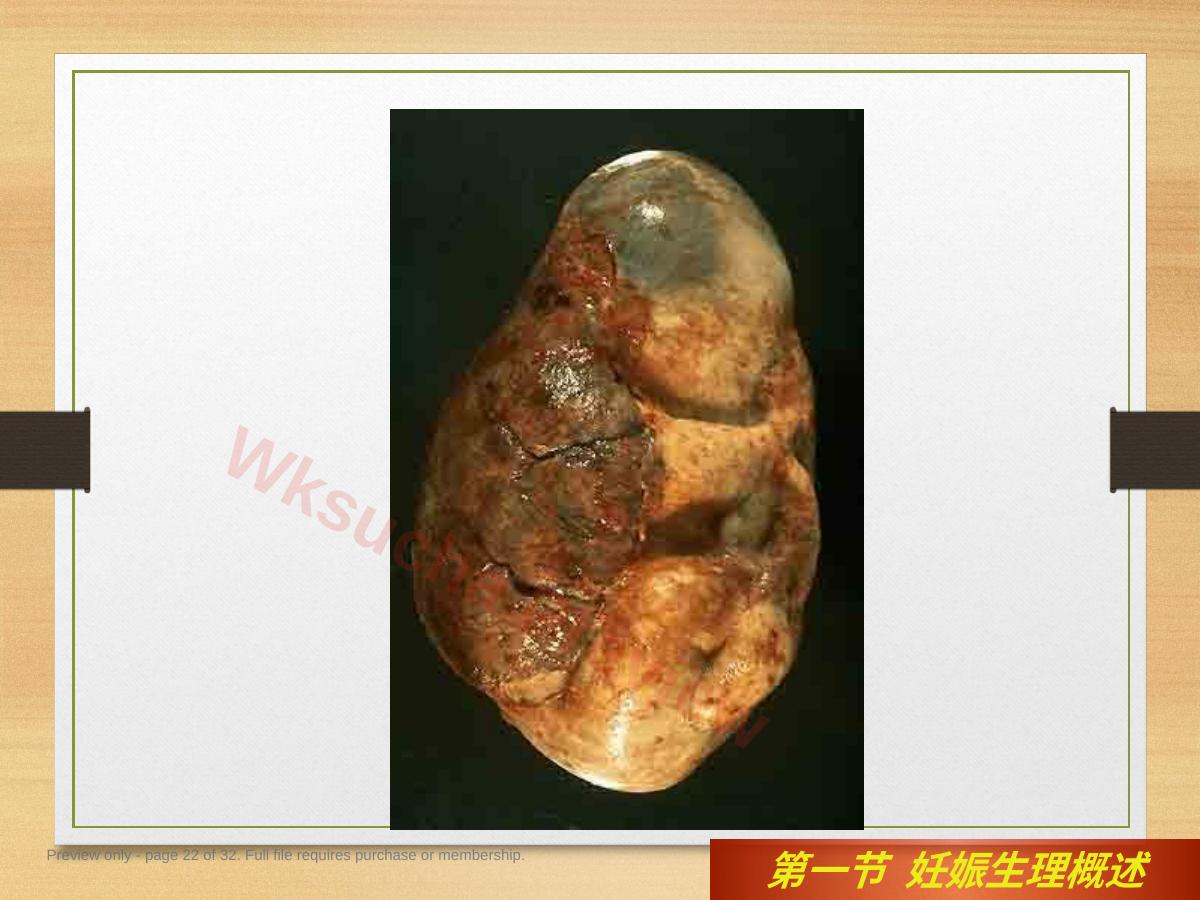预览第 22 页