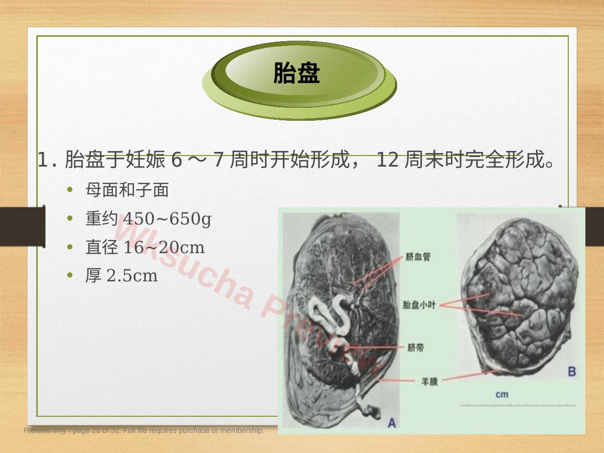 预览第 28 页
