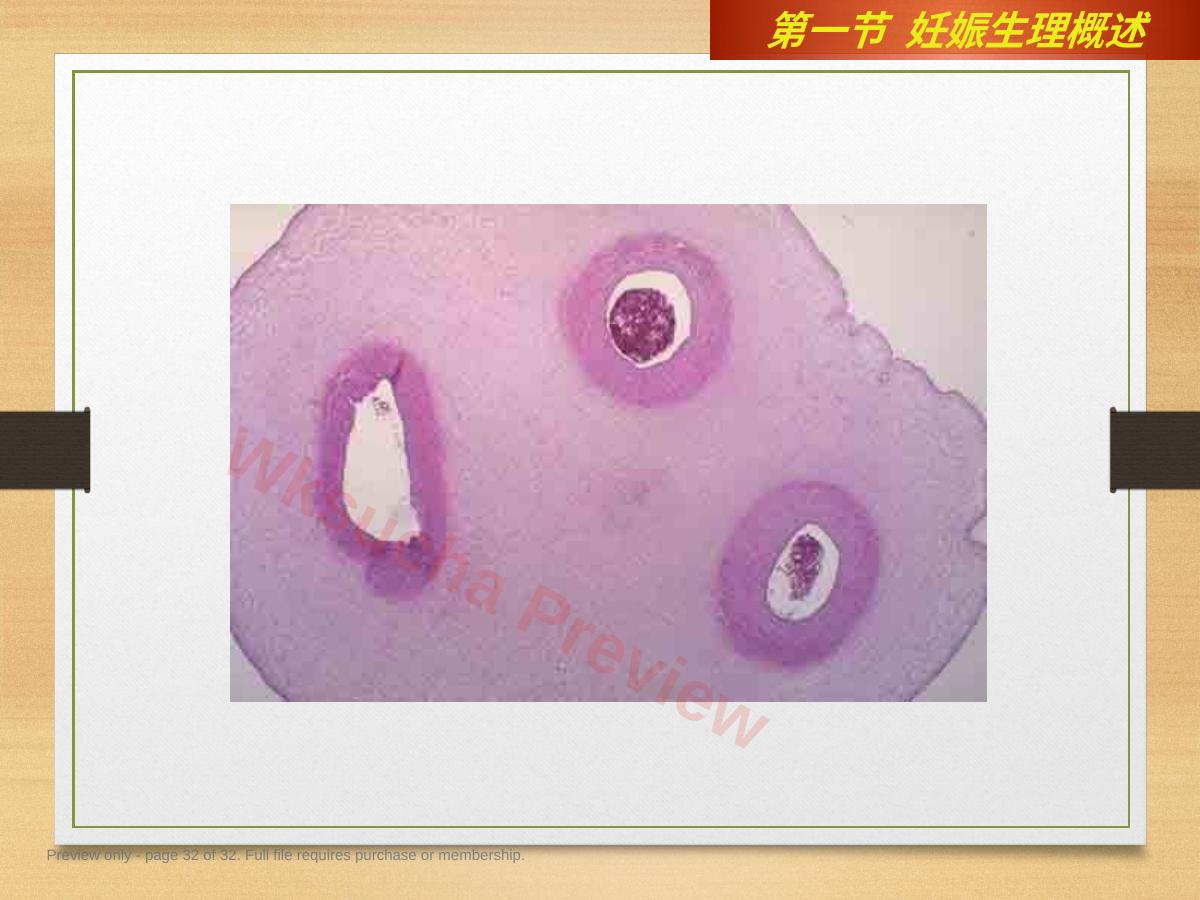 预览第 32 页