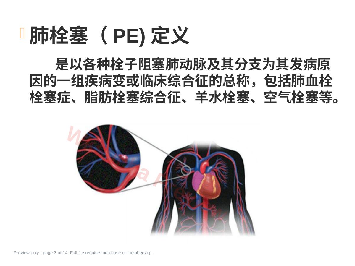 预览第 3 页