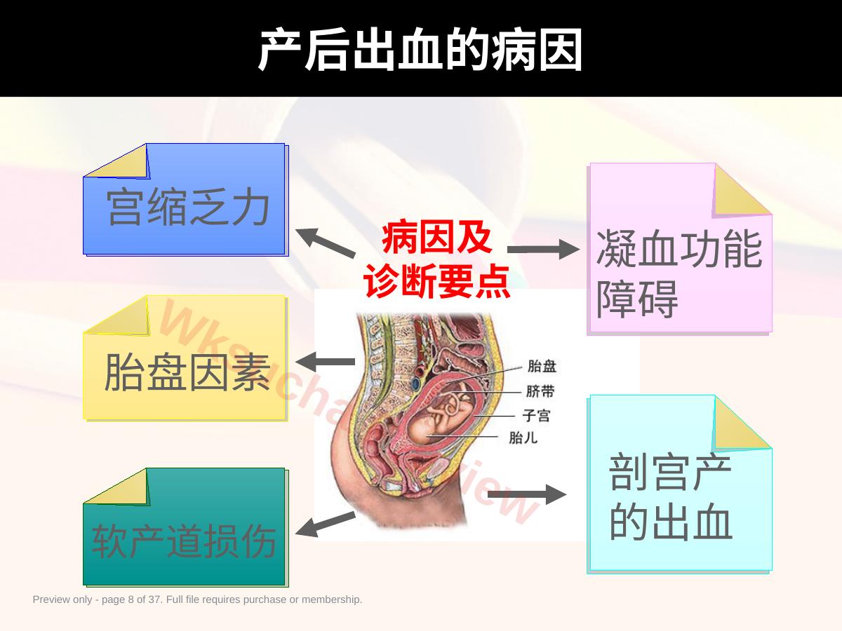预览第 8 页