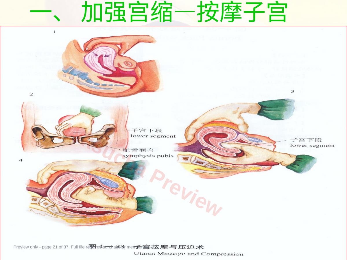 预览第 21 页