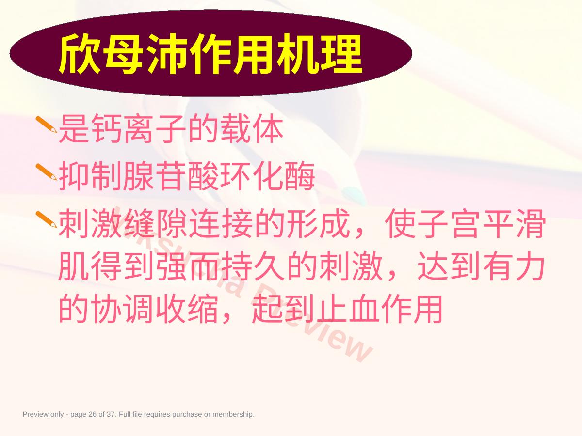 预览第 26 页