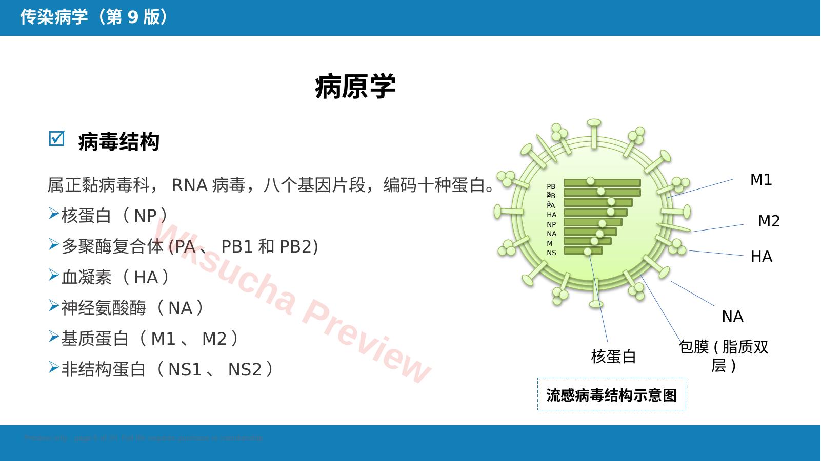 预览第 5 页