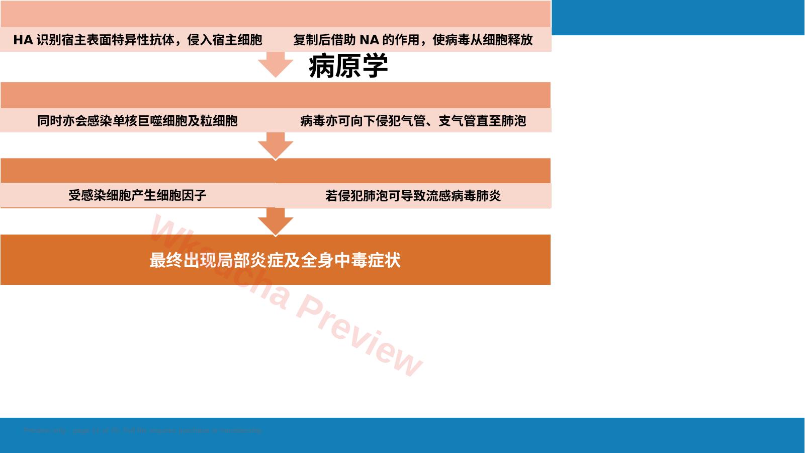 预览第 11 页