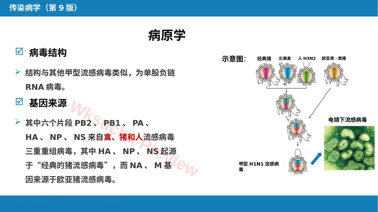 预览第 20 页