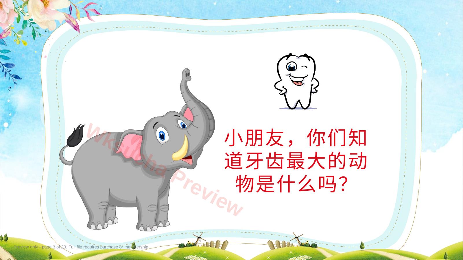 预览第 3 页