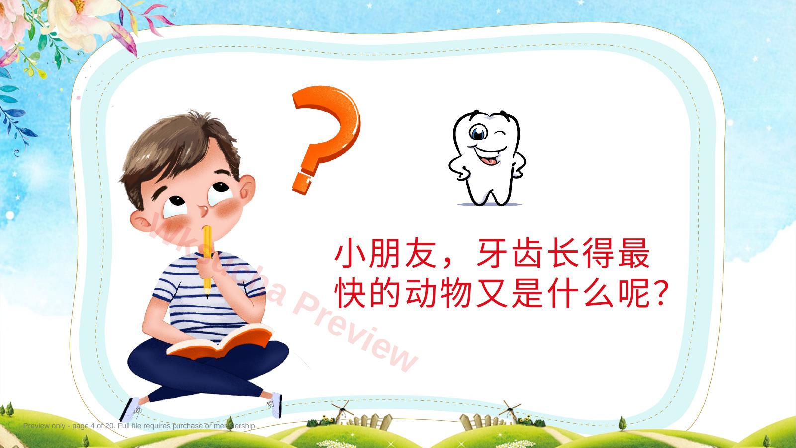 预览第 4 页