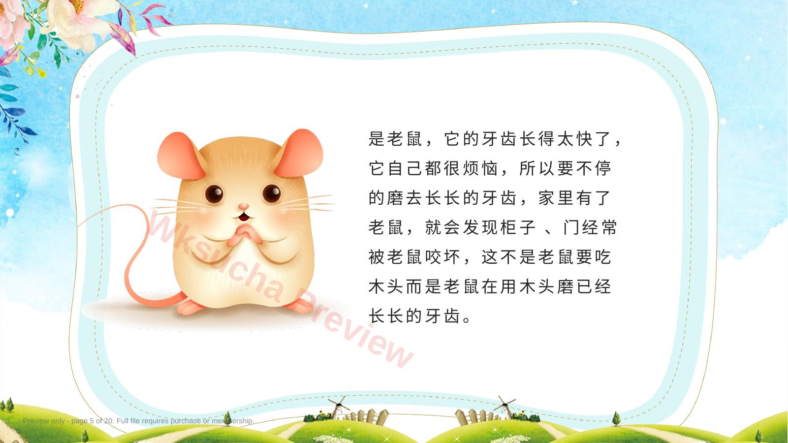预览第 5 页