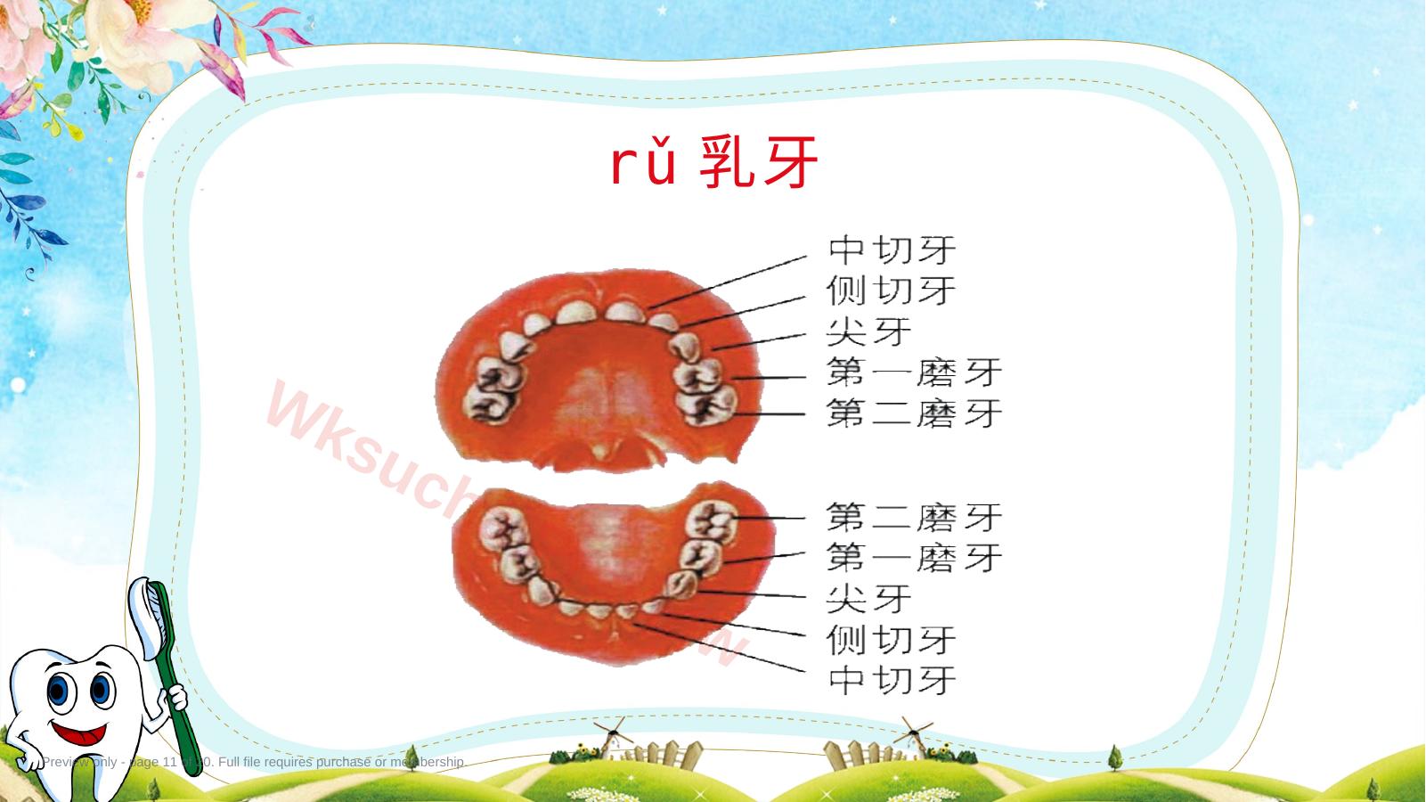 预览第 11 页