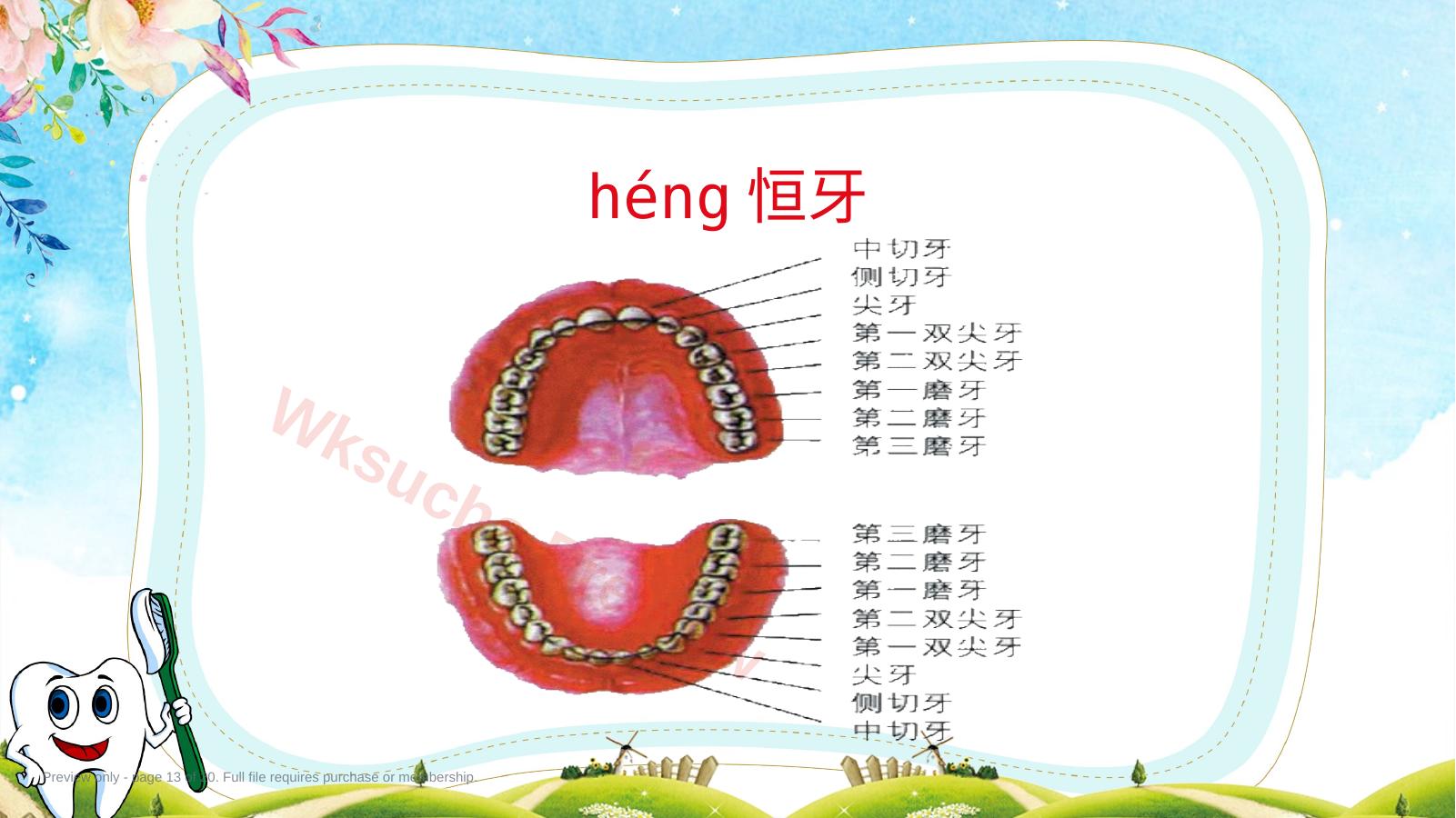 预览第 13 页