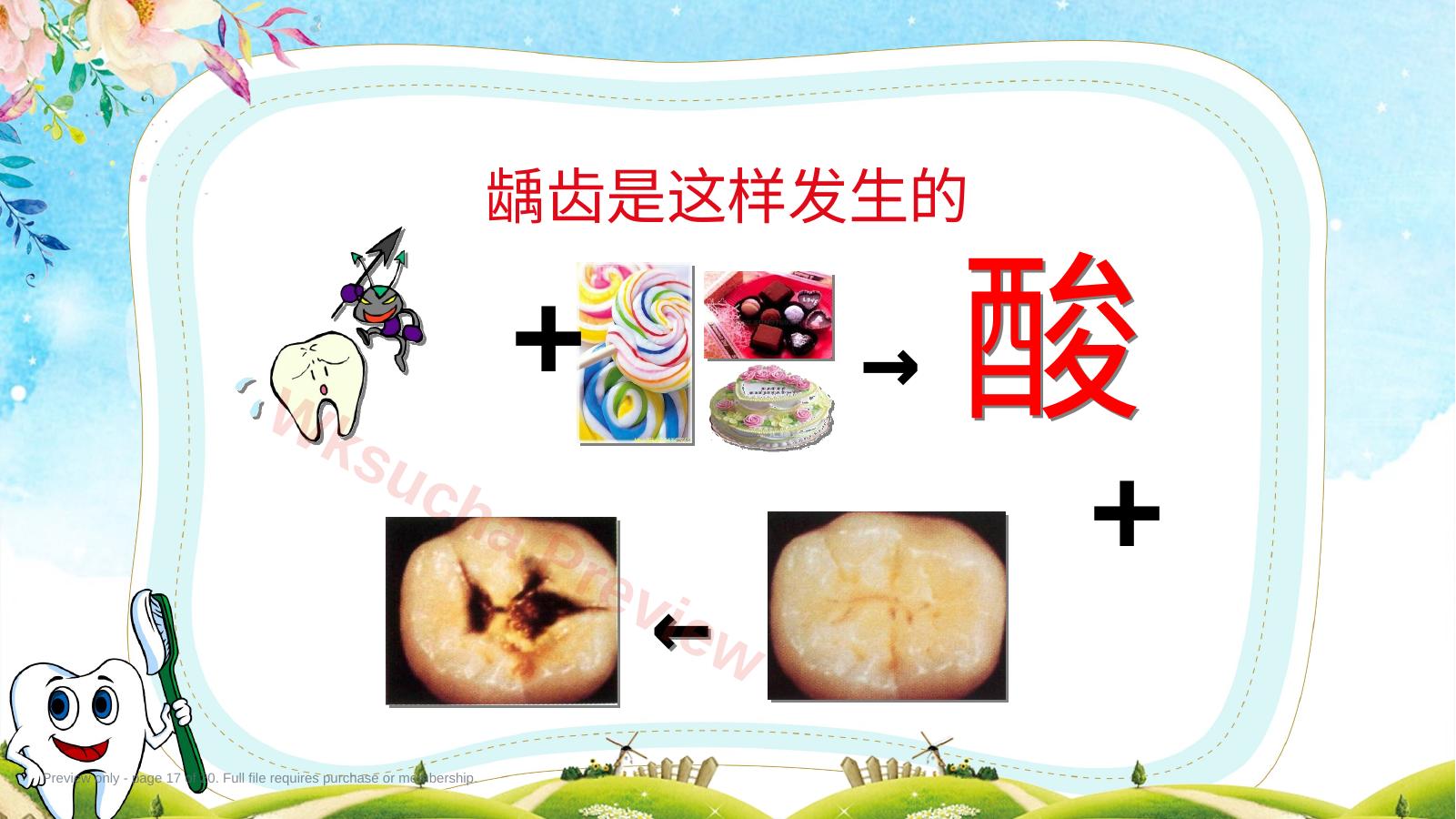 预览第 17 页