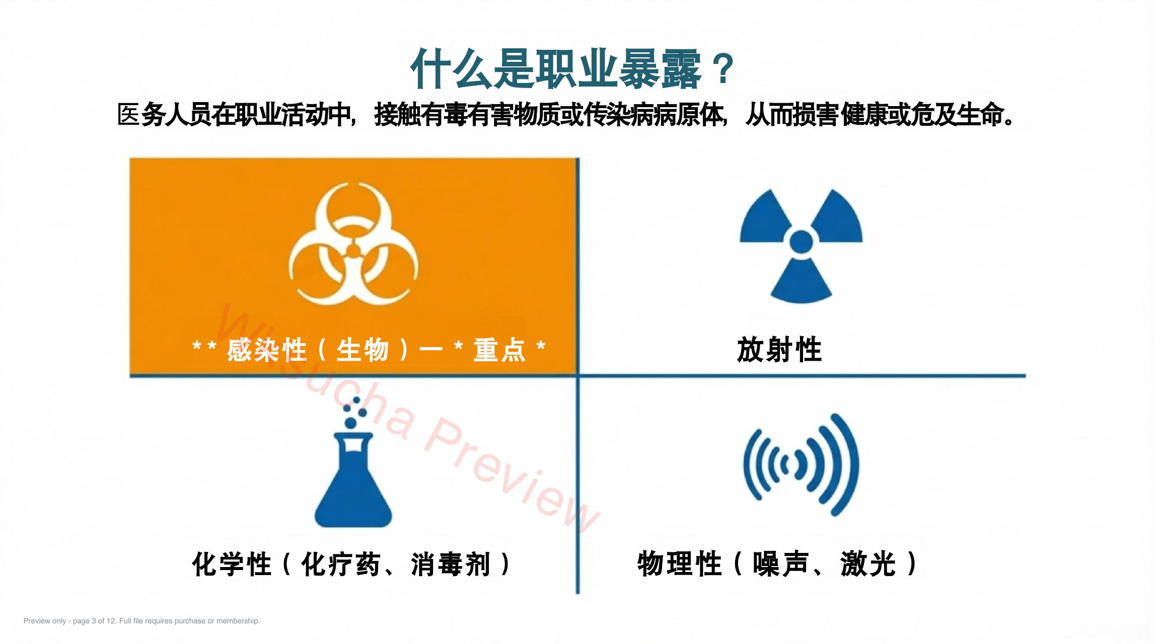 预览第 3 页