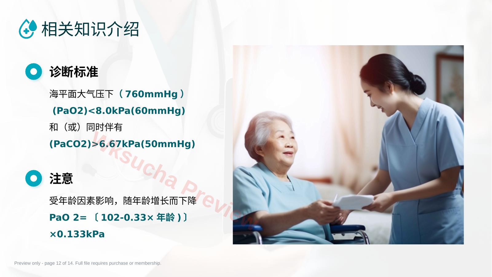 预览第 12 页