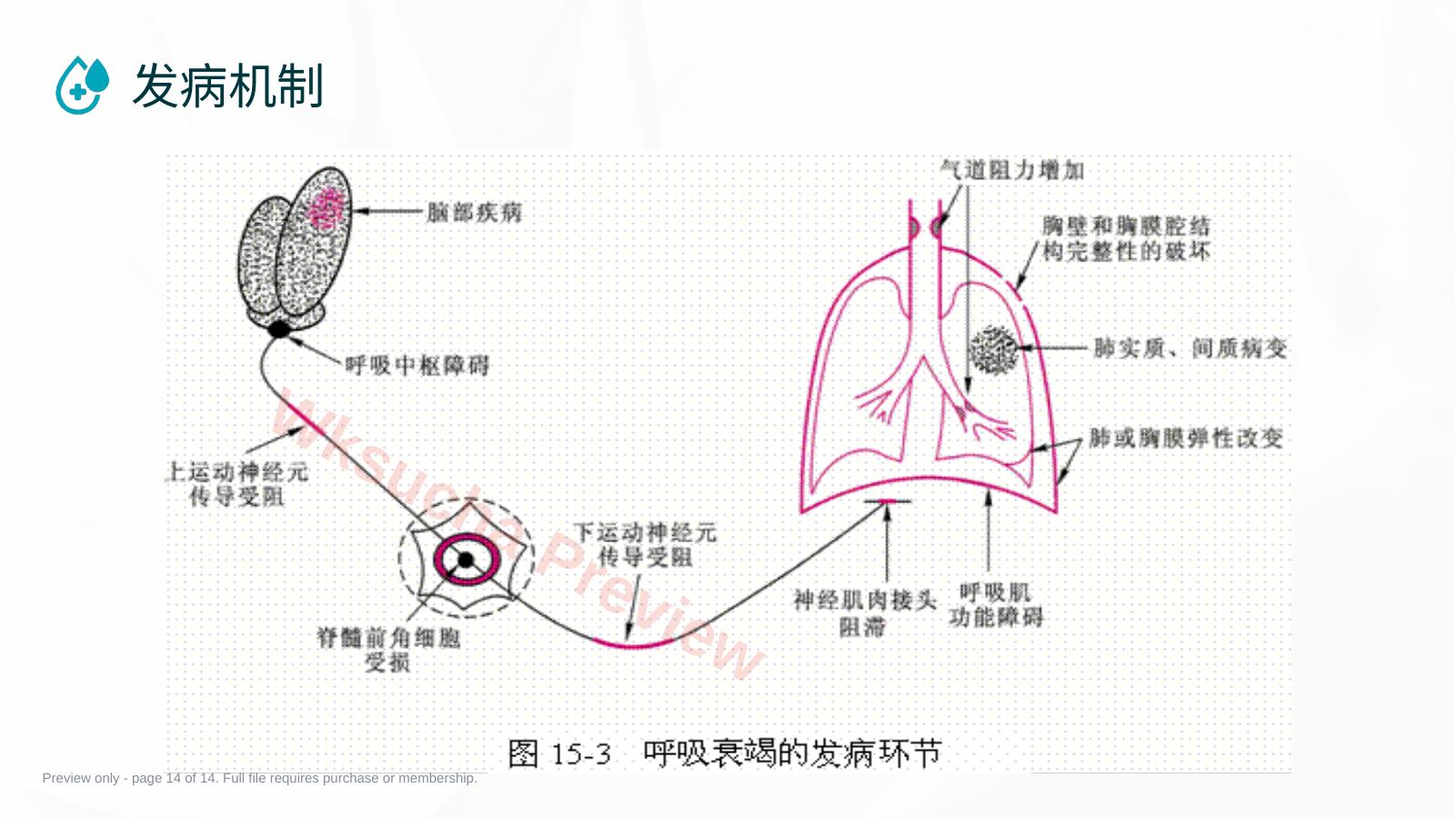 预览第 14 页