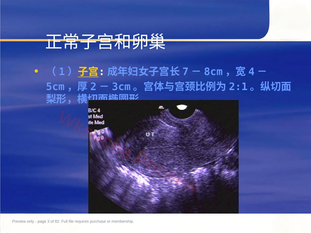 预览第 3 页