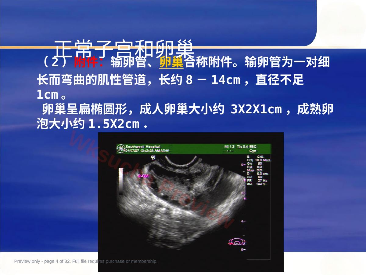 预览第 4 页