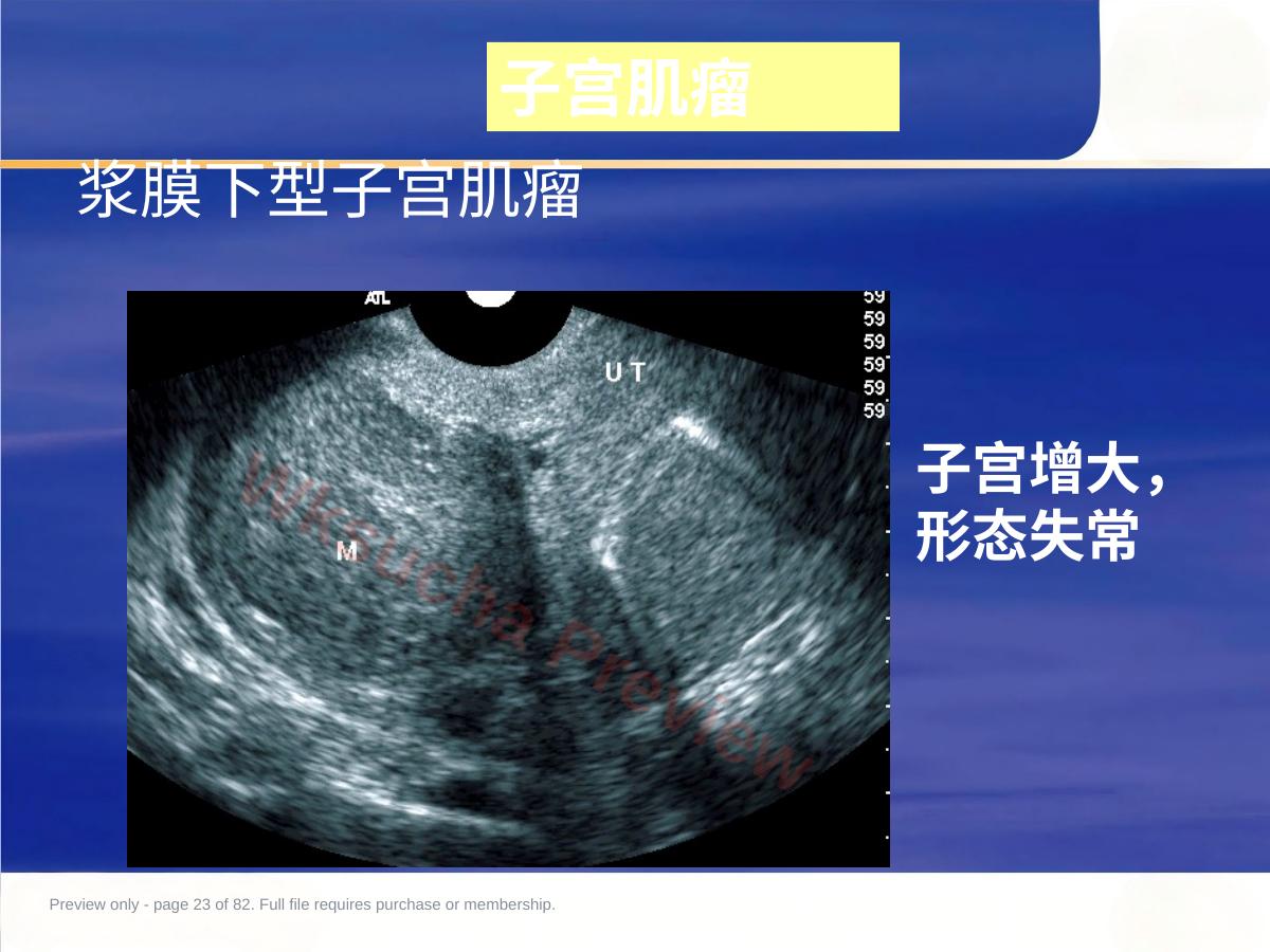 预览第 23 页