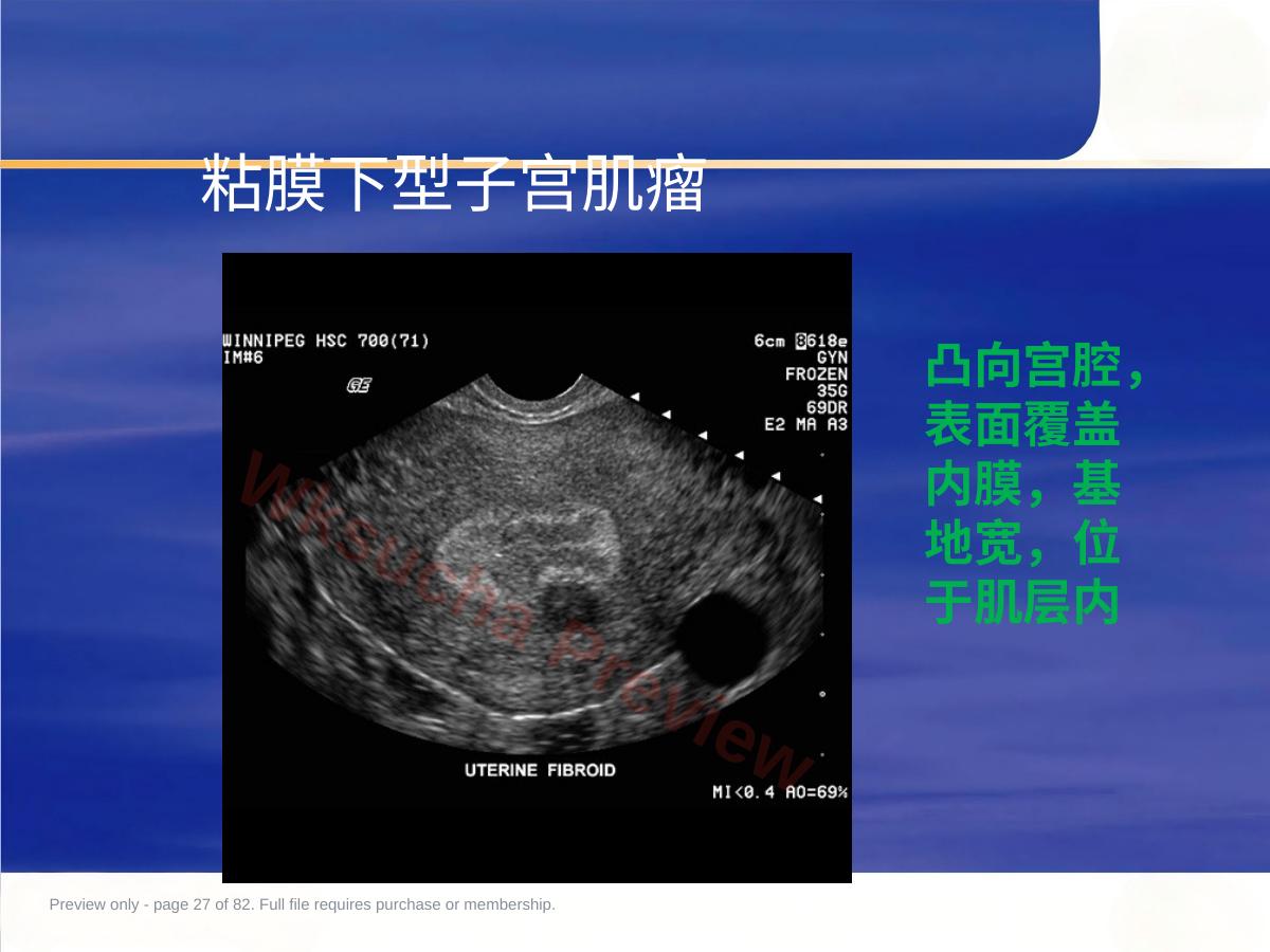 预览第 27 页