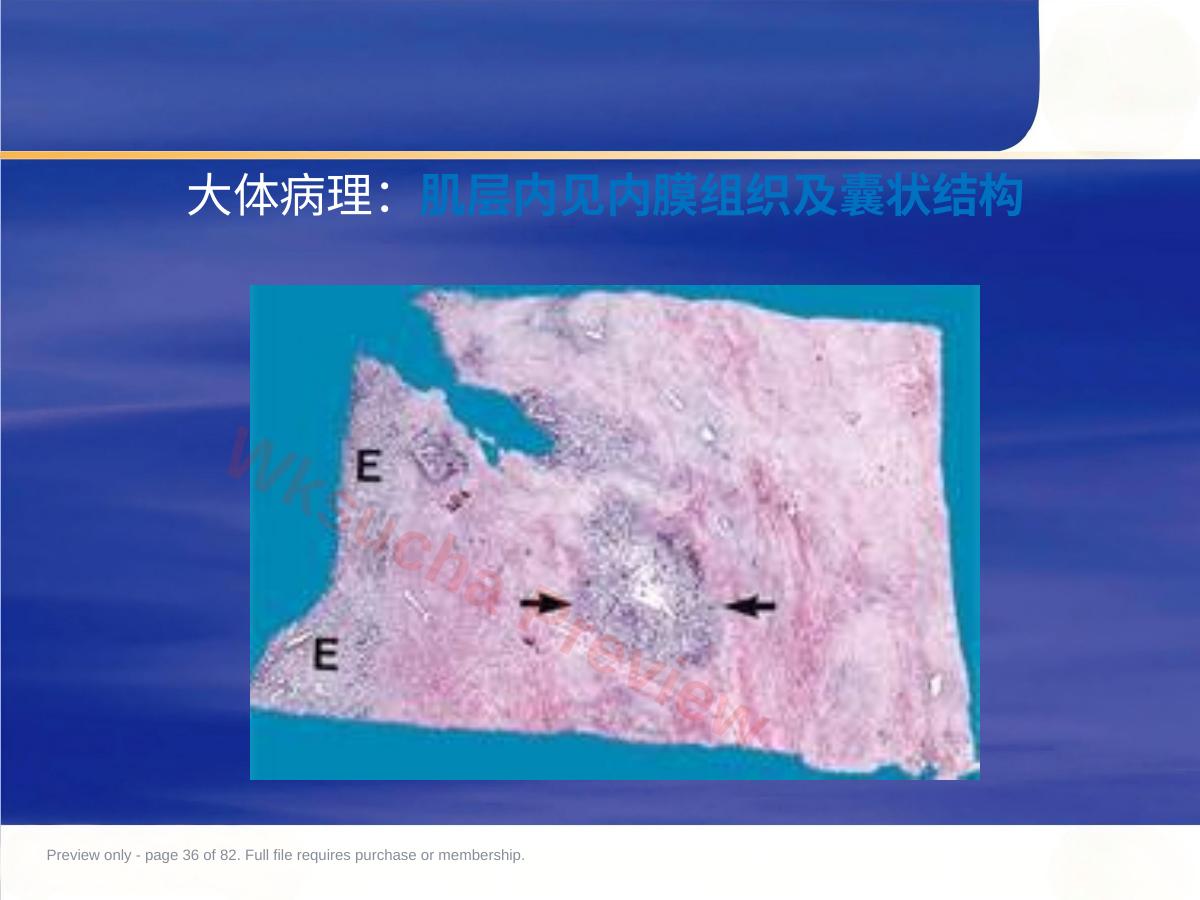 预览第 36 页