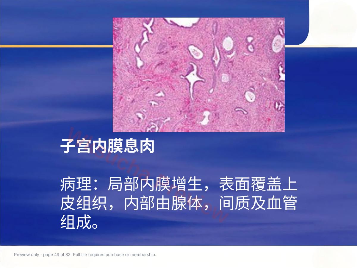 预览第 49 页