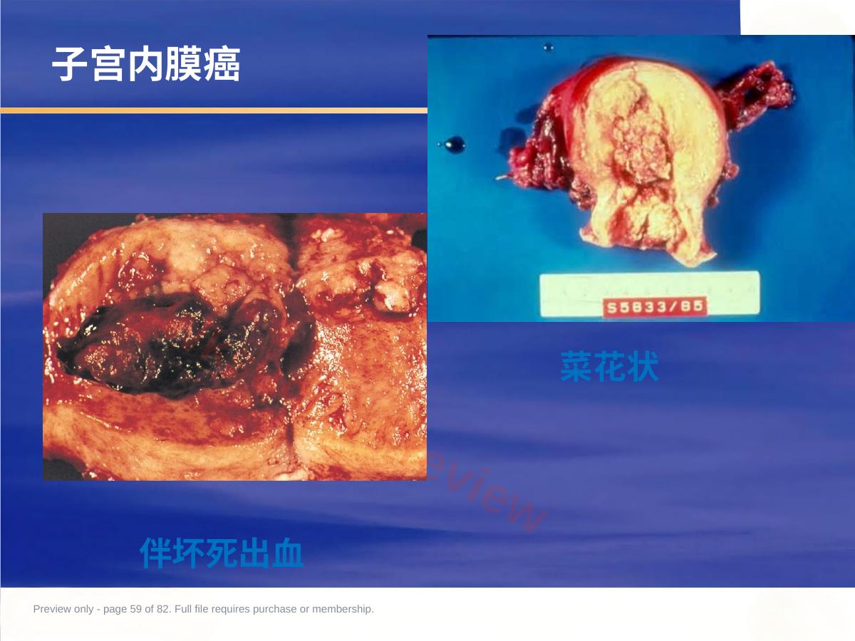 预览第 59 页