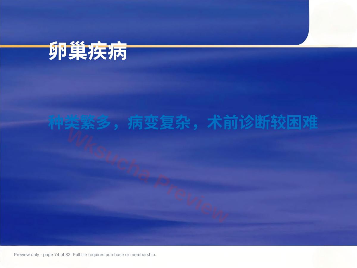 预览第 74 页