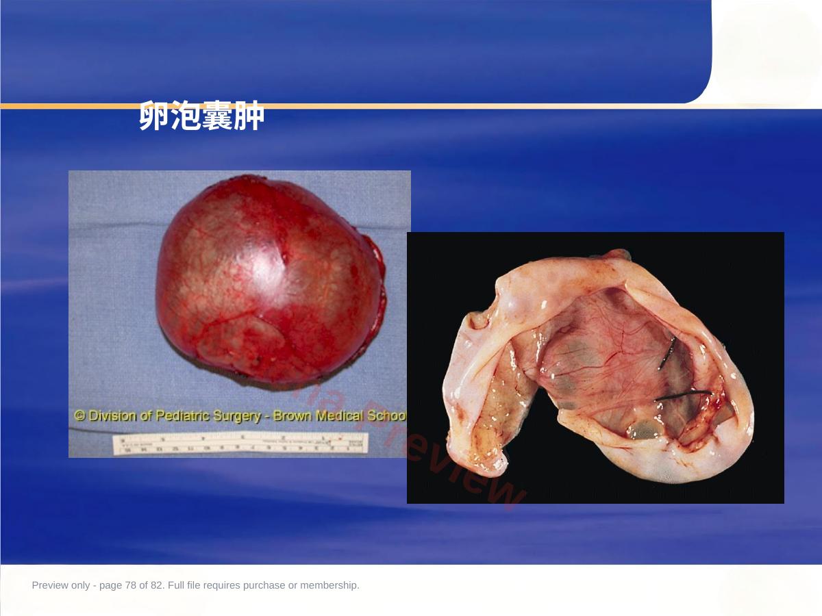 预览第 78 页
