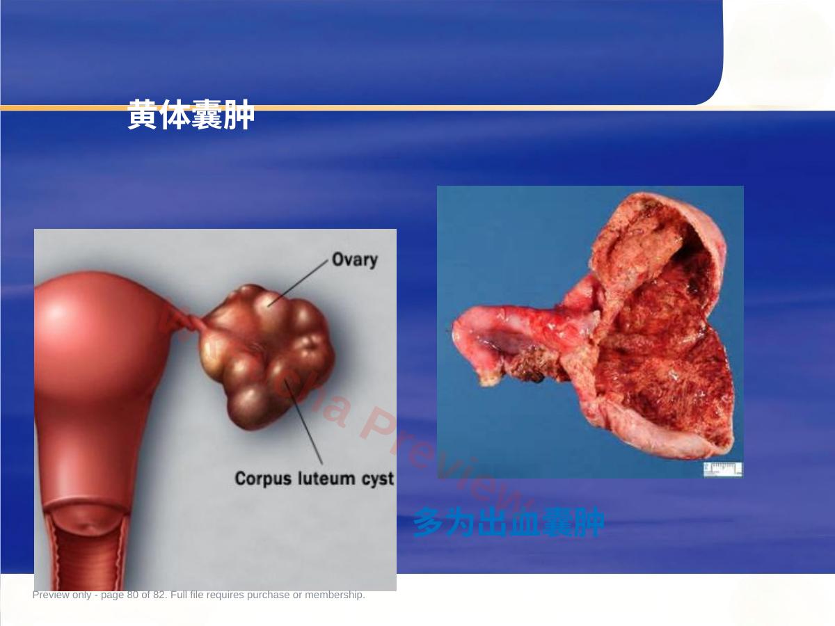 预览第 80 页