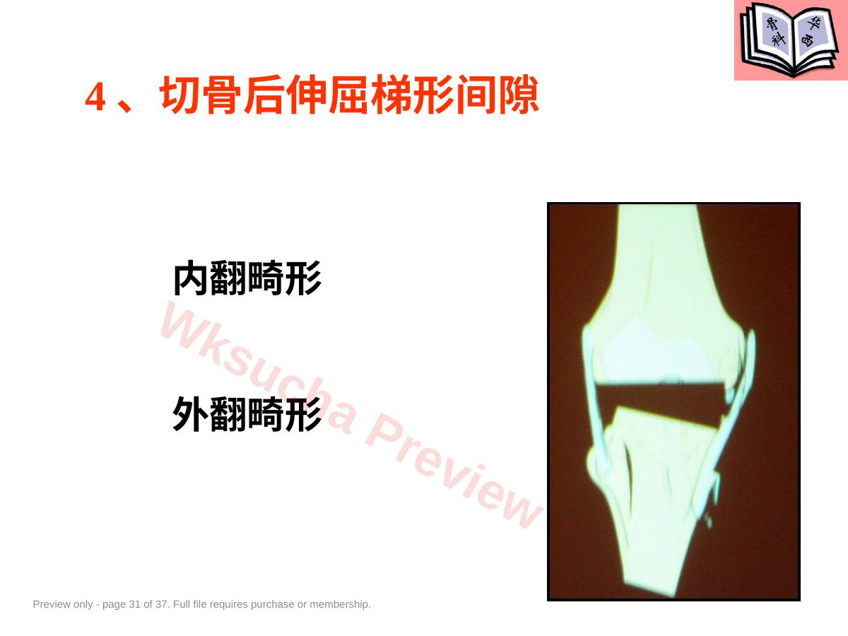 预览第 31 页