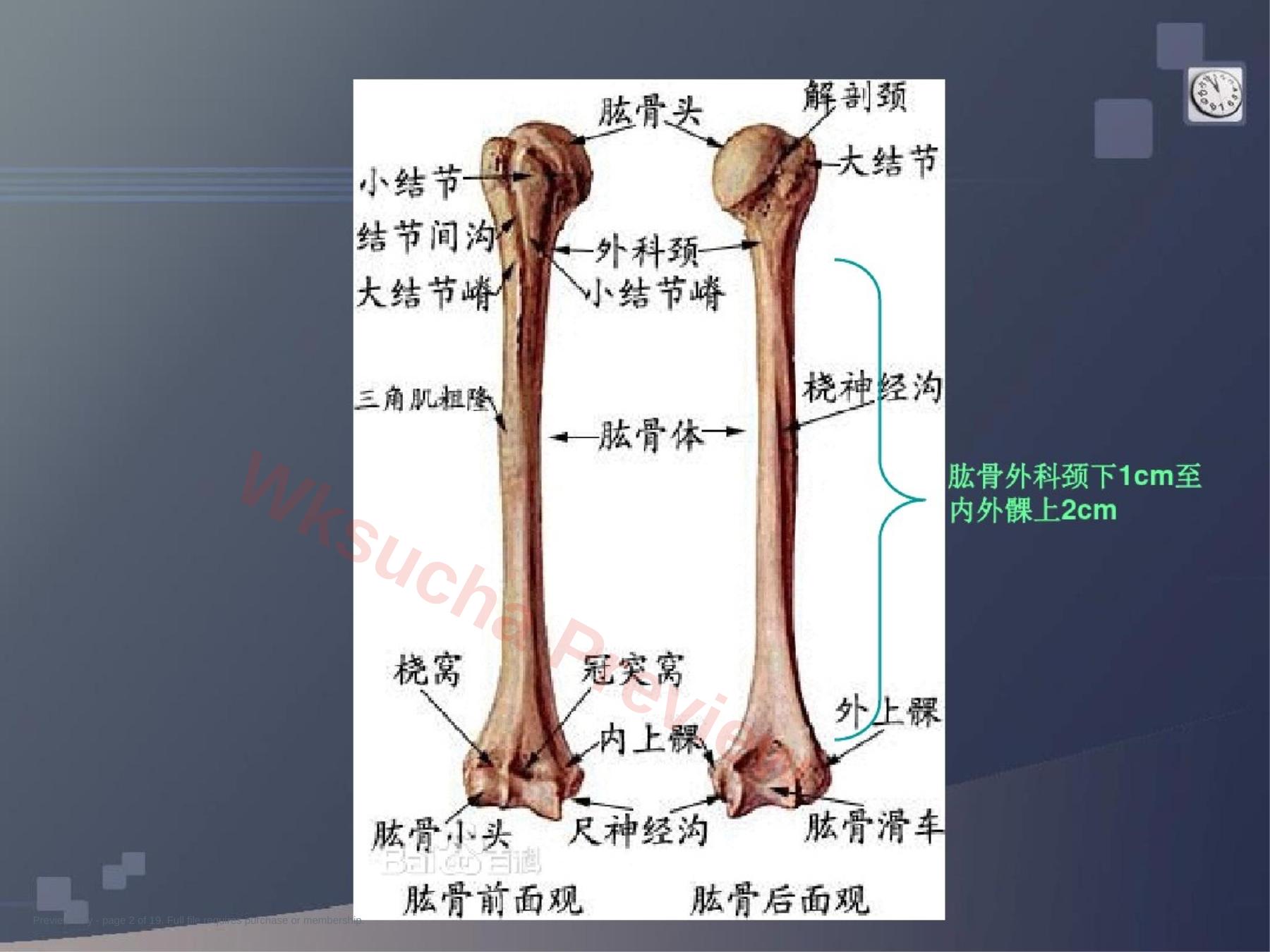 预览第 2 页