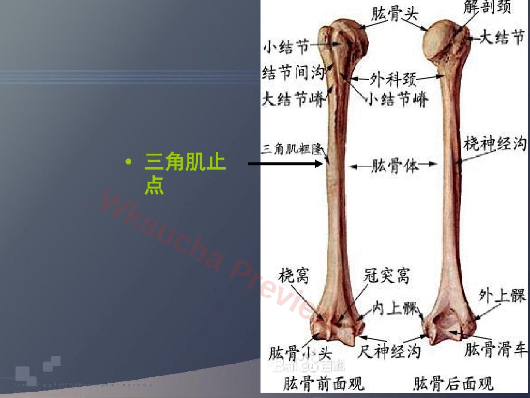 预览第 5 页