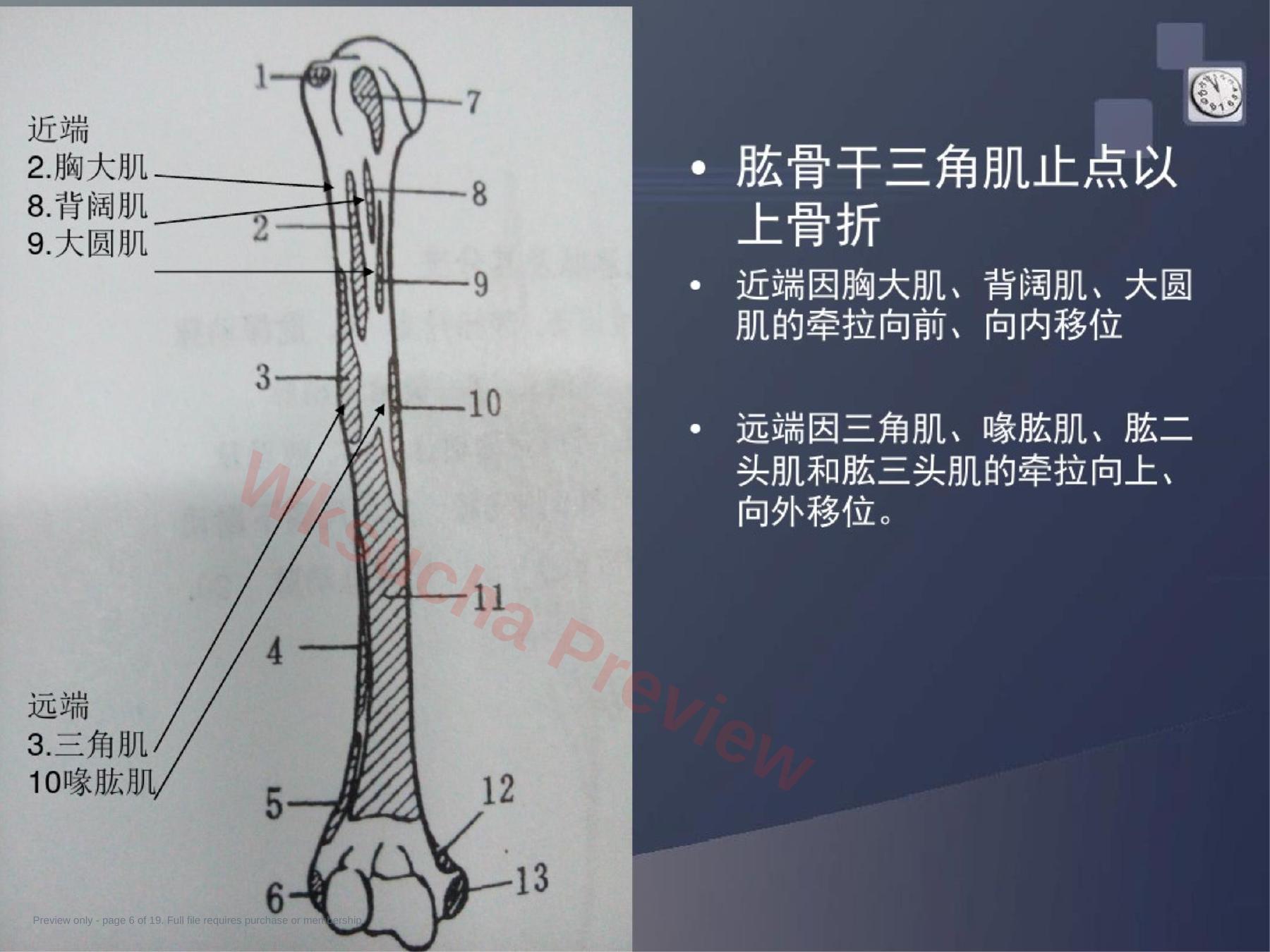 预览第 6 页