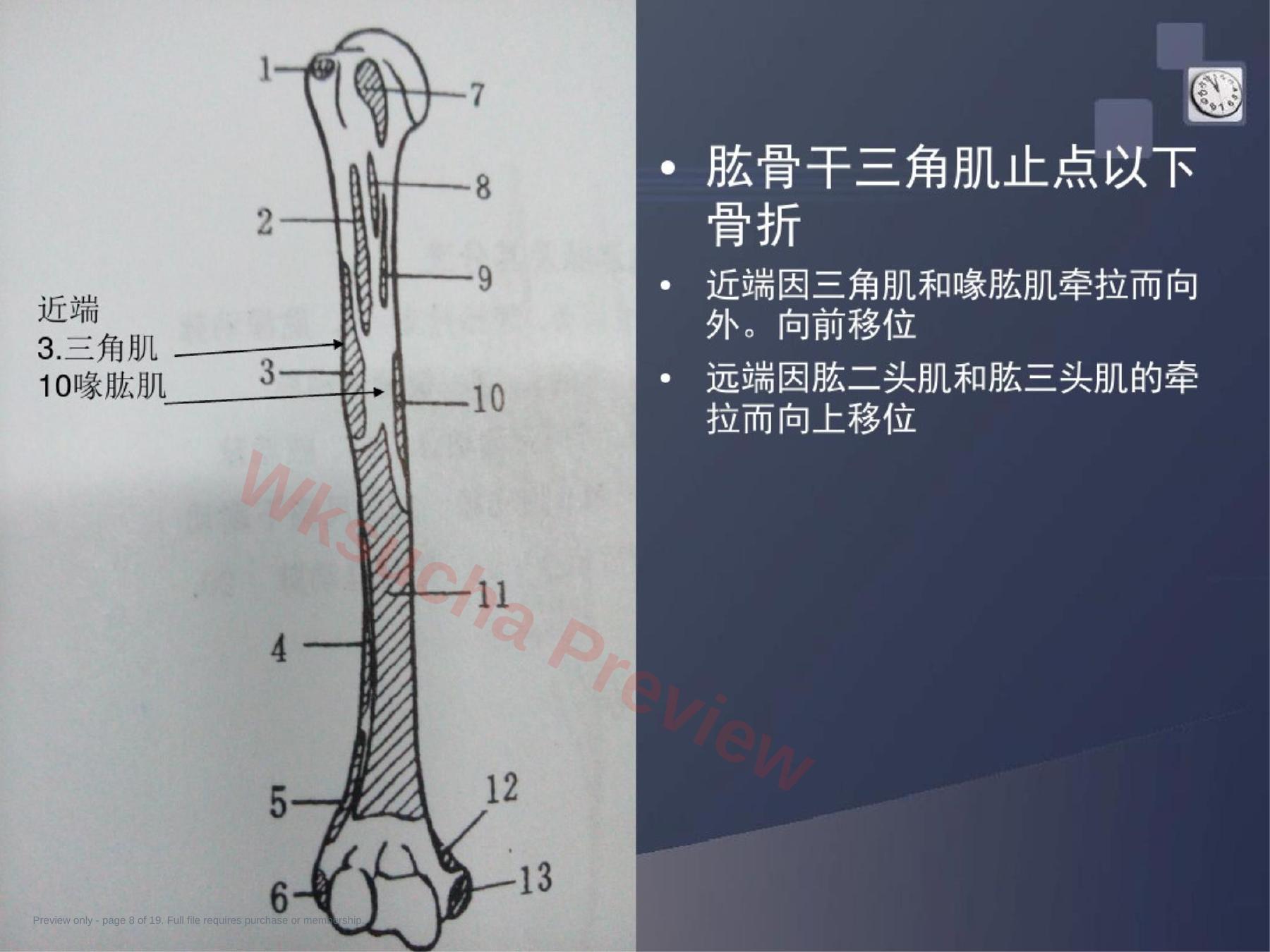 预览第 8 页