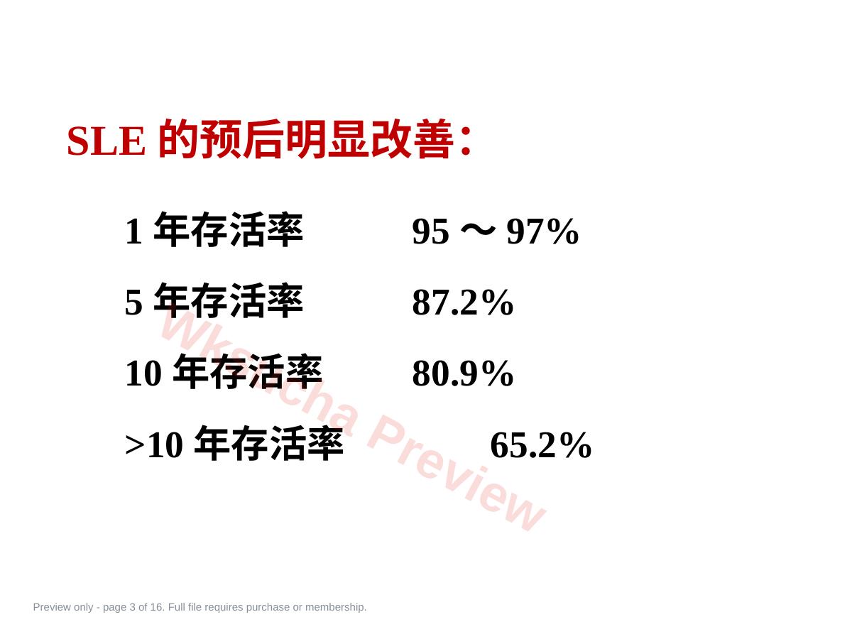 预览第 3 页