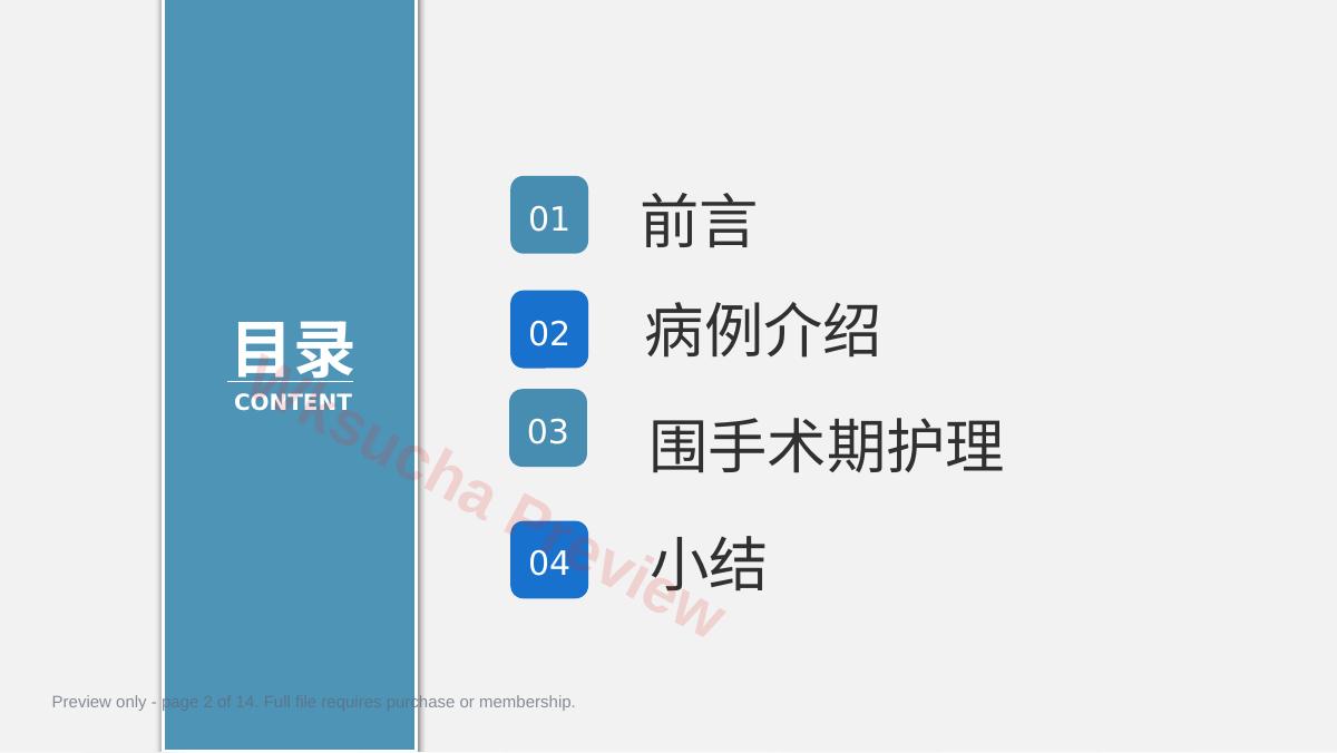 预览第 2 页