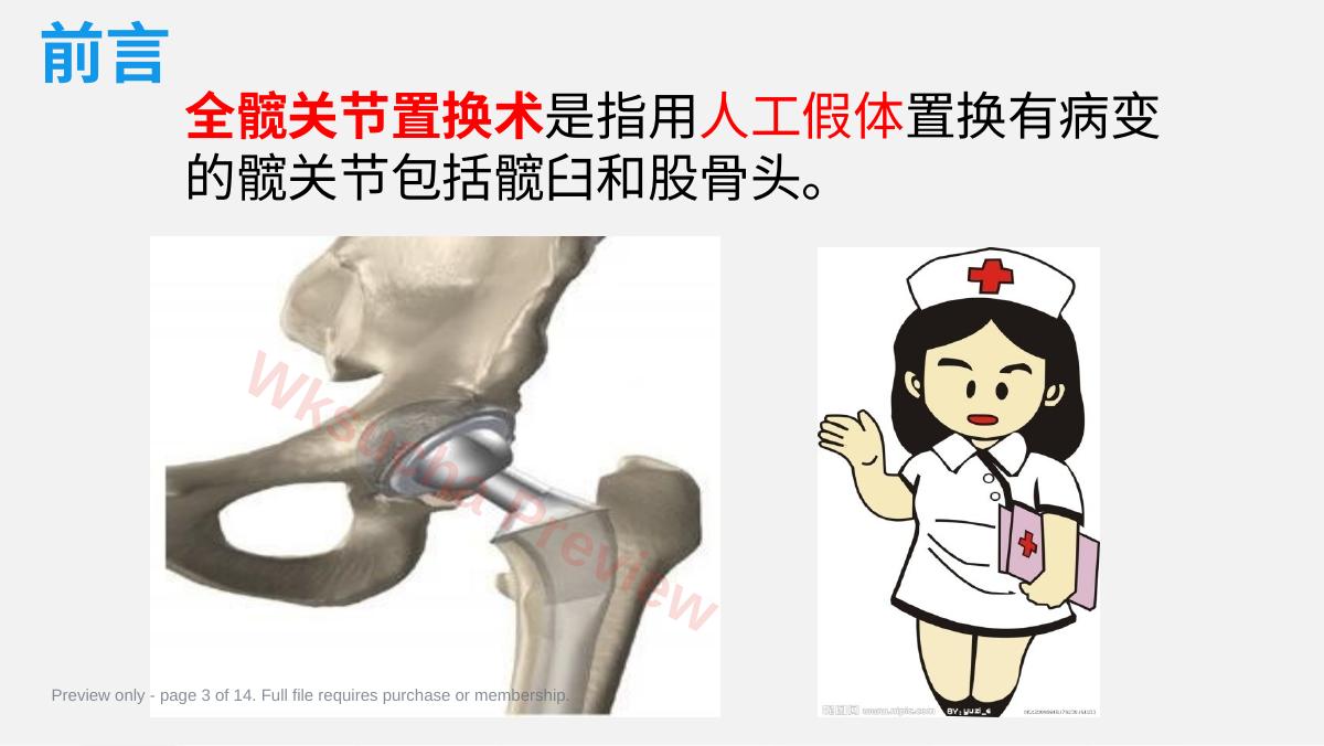 预览第 3 页