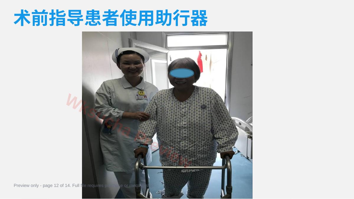 预览第 12 页