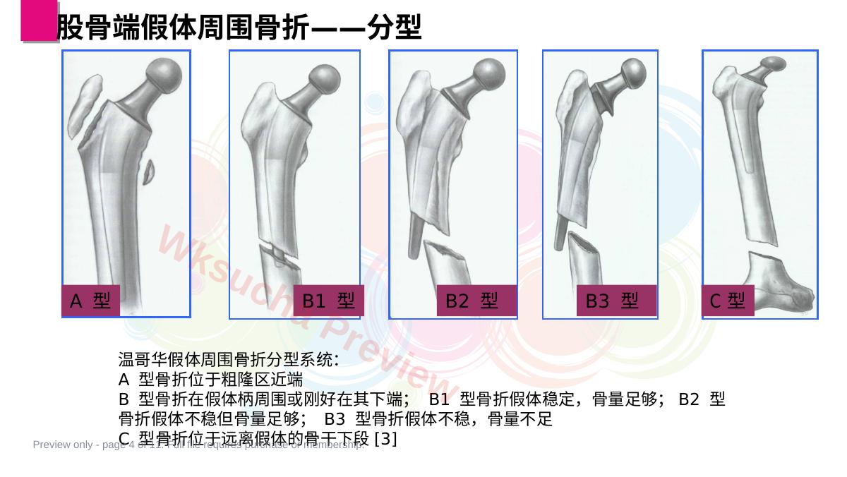 预览第 4 页