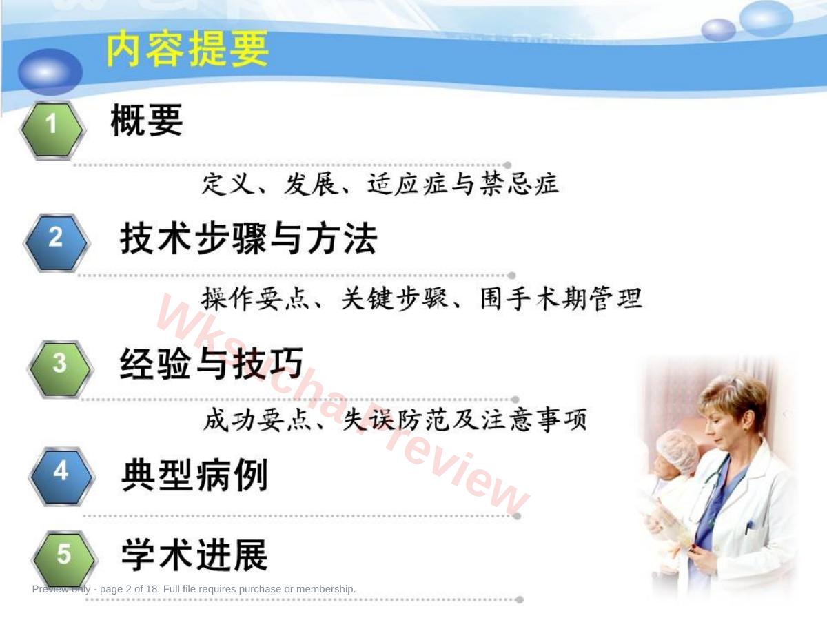 预览第 2 页